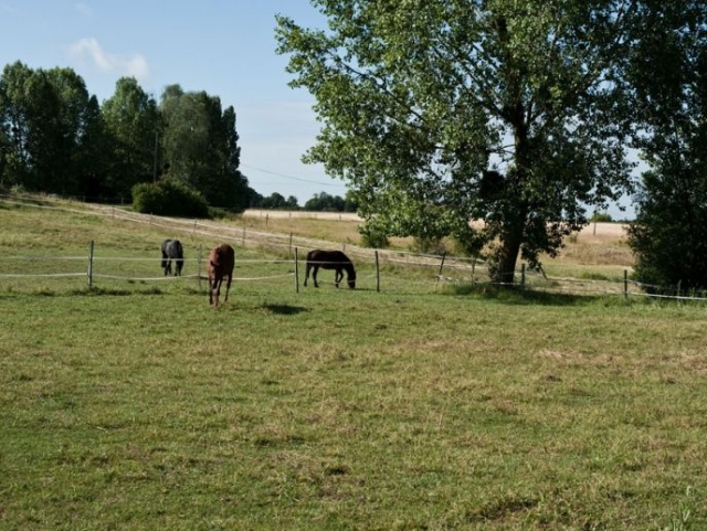  Establos de los propietarios Indre et Loire 